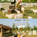 金穗生态园 - 南宁市旅游 缩略图 5
