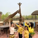 欧乐堡长颈鹿庄园酒店 - 德州市旅游 缩略图 7