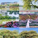 惠州西湖风景名胜区 - 惠州市旅游 缩略图 8