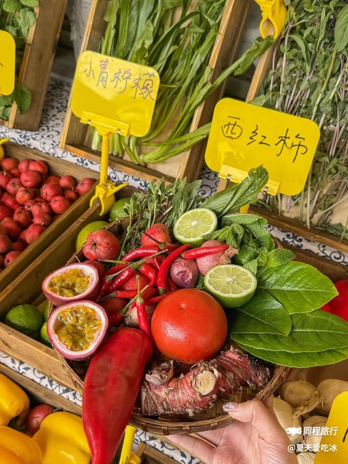 成都市人民公园 - 成都市旅游