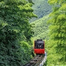 南山竹海安云·悦南山温泉度假酒店 - 常州市旅游 缩略图 5