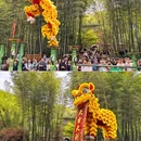 南山竹海安云·悦南山温泉度假酒店 - 常州市旅游 缩略图 4