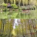 南山竹海安云·悦南山温泉度假酒店 - 常州市旅游 缩略图 6
