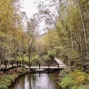 南山竹海安云·悦南山温泉度假酒店 - 常州市旅游 缩略图 8