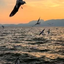 昆明翠湖公园 - 昆明市旅游 缩略图 8