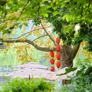 活水公园 - 成都市旅游 缩略图 3