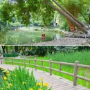 活水公园 - 成都市旅游 缩略图 7
