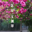 玉渊潭公园 - 北京市旅游 缩略图 1