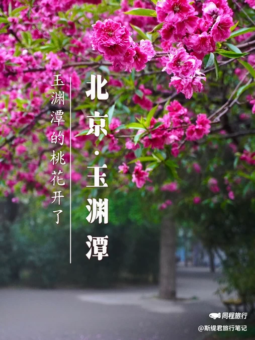 玉渊潭公园 - 北京市旅游