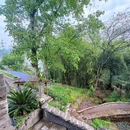 呆兮兮农场·白屿茶咖 - 重庆市旅游 缩略图 6