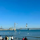 红码头平价海鲜烧烤大排档(星海店) - 大连市旅游 缩略图 2