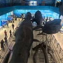 红码头平价海鲜烧烤大排档(星海店) - 大连市旅游 缩略图 6