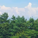苍山中和索道 - 大理白族自治州旅游 缩略图 9