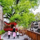 黄石华侨城恐龙奇域旅游度假区 - 黄石市旅游 缩略图 5