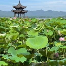 杭州西湖 - 杭州市旅游 缩略图 4