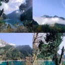 九寨沟景区 - 阿坝藏族羌族自治州旅游 缩略图 8