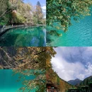 九寨沟景区 - 阿坝藏族羌族自治州旅游 缩略图 4