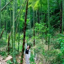 径山古道 - 杭州市旅游 缩略图 1