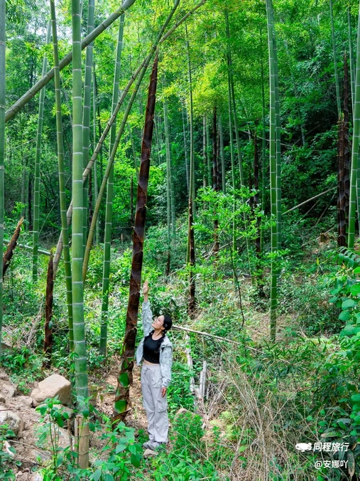 径山古道 - 杭州市旅游
