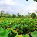 官渡古镇 - 昆明市旅游 缩略图 5