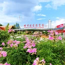 昆明世界园艺博览园 - 昆明市旅游 缩略图 4