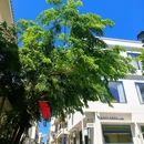 三亚蜈支洲岛旅游区 - 三亚市旅游 缩略图 7