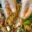 独门冲烤鱼(总店) - 重庆市旅游 缩略图 4