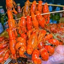 鱼咬羊·徽菜·龙虾大排档(上海大学店) - 上海市旅游 缩略图 3