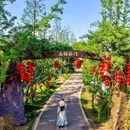 印山湖公园 - 长沙市旅游 缩略图 5