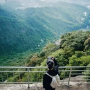 鹅公髻 - 深圳市旅游 缩略图 8