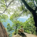 鹅公髻 - 深圳市旅游 缩略图 7