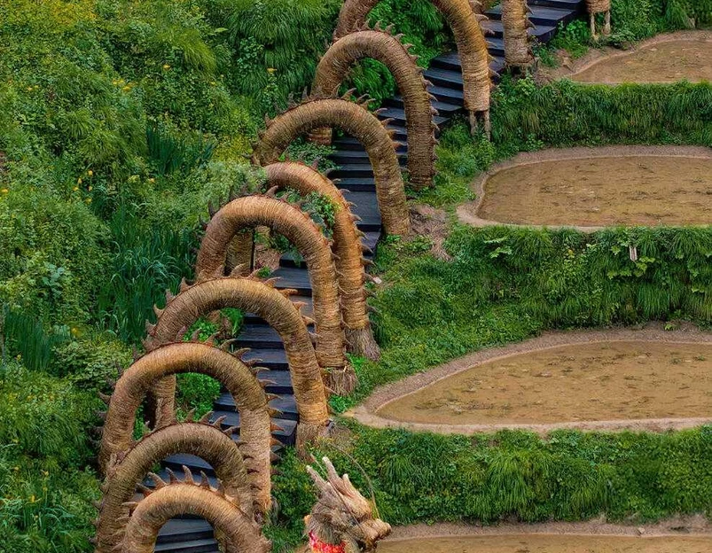 云和梯田景区 - 丽水市旅游 1