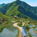 云和梯田景区 - 丽水市旅游 缩略图 2