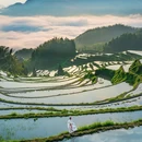 云和梯田景区 - 丽水市旅游 缩略图 5