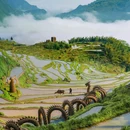 云和梯田景区 - 丽水市旅游 缩略图 3