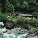 桐野营地 - 雅安市旅游 缩略图 1