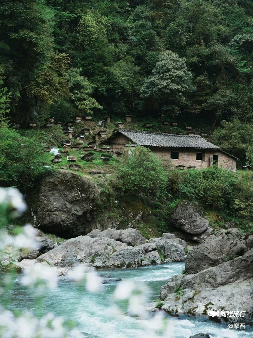 桐野营地 - 雅安市旅游