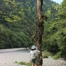 桐野营地 - 雅安市旅游 缩略图 9