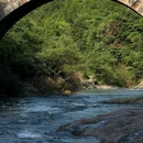 镜岭安山古道 - 绍兴市旅游 缩略图 4