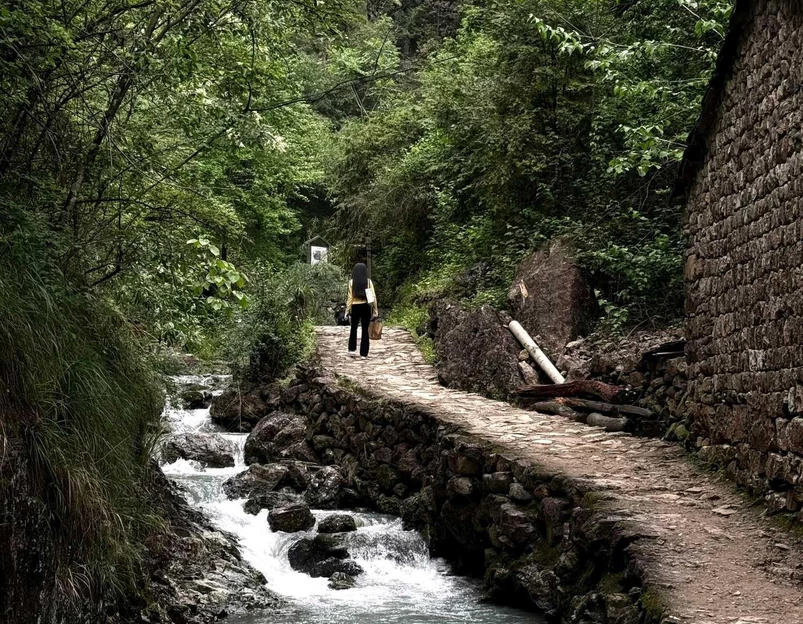 镜岭安山古道 - 绍兴市旅游 1