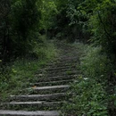 镜岭安山古道 - 绍兴市旅游 缩略图 7