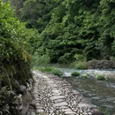 镜岭安山古道 - 绍兴市旅游 缩略图 9