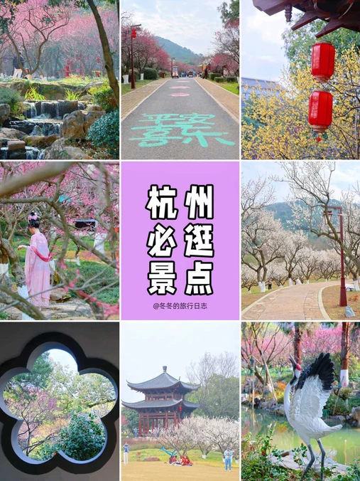 超山风景区 - 杭州市旅游