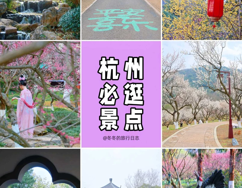 超山风景区 - 杭州市旅游 1