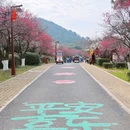 超山风景区 - 杭州市旅游 缩略图 2