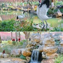 超山风景区 - 杭州市旅游 缩略图 7