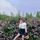 尚贤河玫瑰园 - 无锡市旅游 缩略图 3