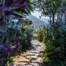 湖山云隐·英式海景花园庄园(双廊洱海店) - 大理白族自治州旅游 缩略图 3