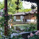 西湖风景名胜区 - 杭州市旅游 缩略图 2