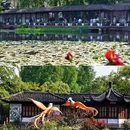 西湖风景名胜区 - 杭州市旅游 缩略图 8